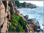 foto Spiagge a Santa Teresa di Gallura